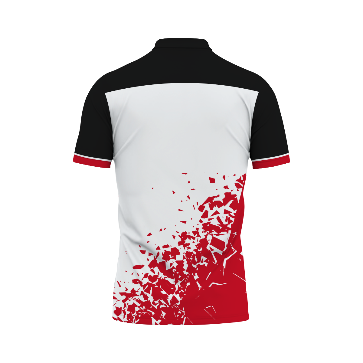 Polo Shirt 4 back